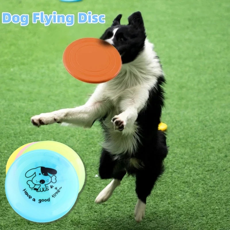 Flying Disc Toy – Toss, Fetch & Play Together