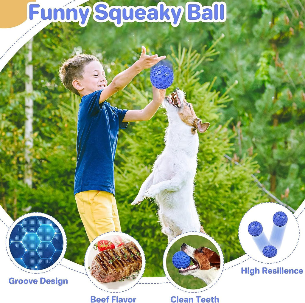 Heavy-Duty Squeaky Ball – Lasting Fun & Relieves Anxiety