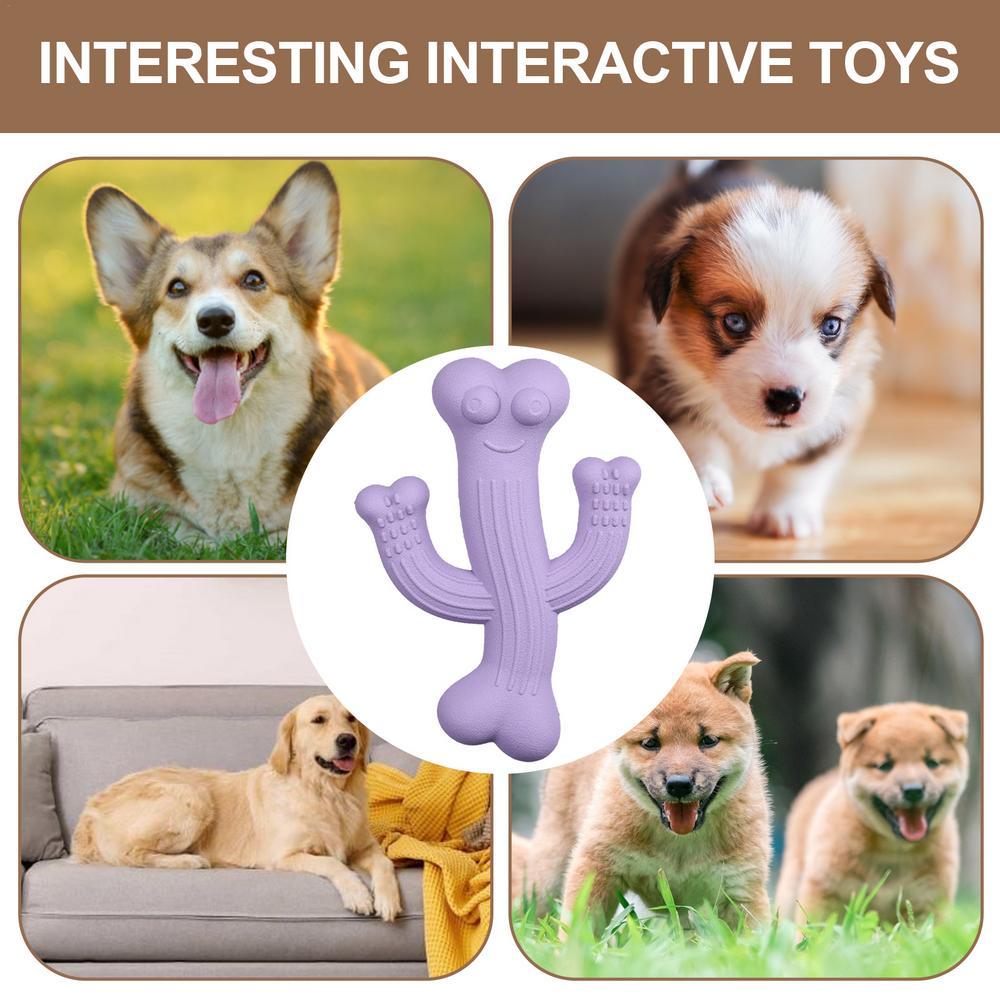 Cactus Chew Toy – Fun & Durable for Puppy Play