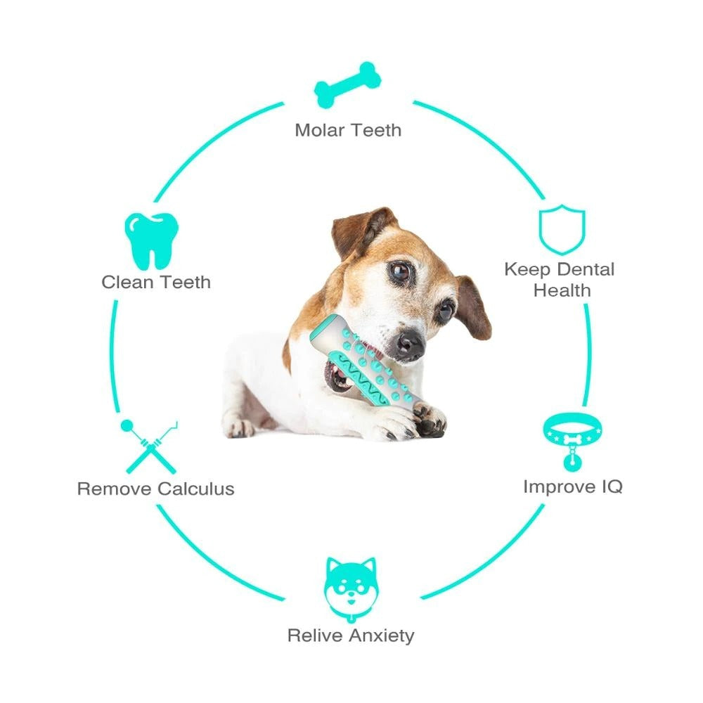 Tough Squeaky Chew Toy – Made for Aggressive Chewers
